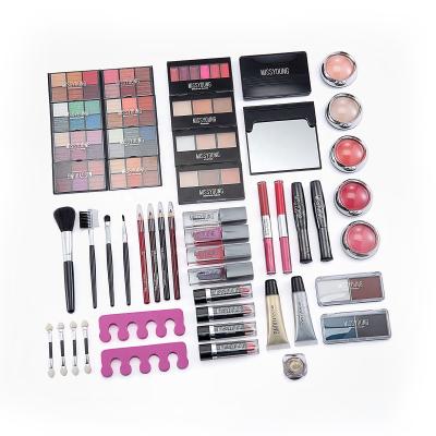 China Ready To Ship MISS YOUNG Makeup Tools Eyeshadow Palette BIG Makeup Kit With Aluminum Cosmetic Box Eyeshadow Case Sets MC1449 for sale