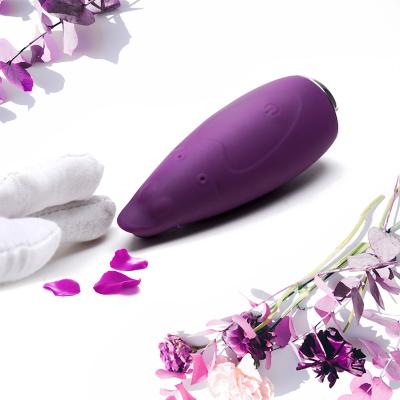 China 10 Speeds Rechargeable Personal Mini Sex Toys Adult For Woman Electric Handheld Vibrator Cat G Spot Massager for sale