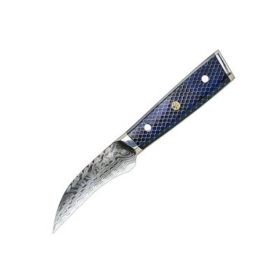 China 3.5 Inch Damascus Kitchen Viable Steel Paring Knife for sale