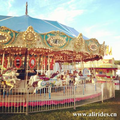 China Carousel 48 Seats Merry Go Round for sale for sale