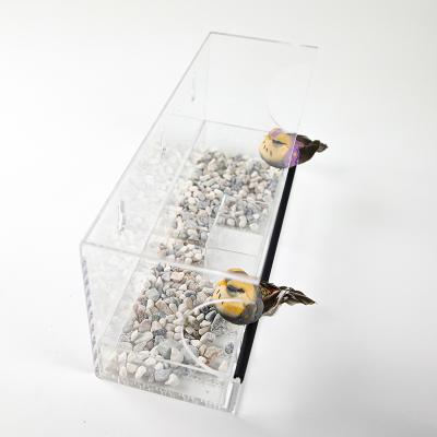 China Acrylic Bird Feeder Spring SignTransparent Window Bird Feeder for sale