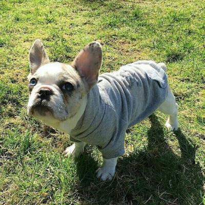 China cheap fleece dog hoodie pet apparel factory wholesale in cheap price for sale