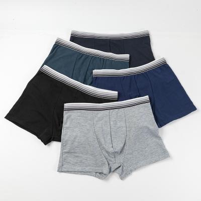 China Custom Anti-Static Cotton Men ODM Logo Boxer For Men OEM Letter Briefs Boxers Plus Size Men Underwear for sale