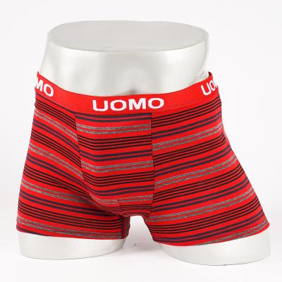 China Red stripe antibacterial sale mens sexy eand orangutan customization boxers cotton for sale