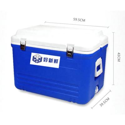 China Factory Supply 65L Waterproof Plastic Portable Medicine Storage Injection Transport Cooler Box for sale