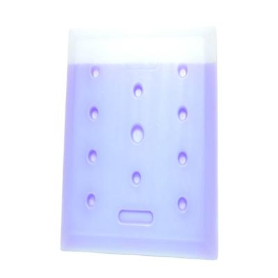 China Waterproof Customize Vaccine Ice Pack Cooler Moving Shipping Reusable Food Ice Brick Packs For Medical Storage for sale