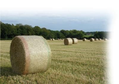 China HDPE Raschel strickte Rundballen-Netz-Verpackung, Landwirtschafts-Heu-Ballen-Netz zu verkaufen