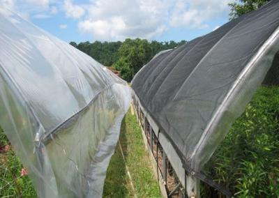 China Red plástica negra de la sombra del invernadero para la agricultura, 4 el x 100m en venta