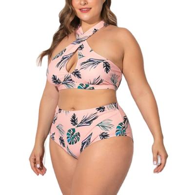 China New Arrival Breathable Bikinis Plus Size Women Swimwear Plus Size Swimwear Ready To Ship for sale