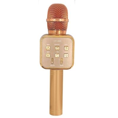 China Six Kinds Of Functions Child Promotional Girl's Birthday Gift Children's Toy Wireless Microphone For Girl's Superior Child Boy for sale