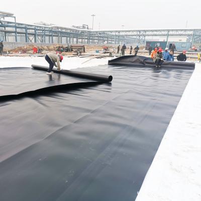 China Traditional HDPE Geomembrane For Rainwater Harvesting System for sale