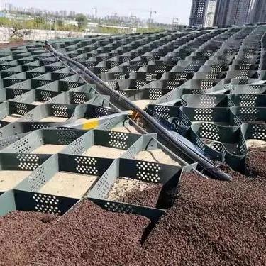 China Modern HDPE Plastic Geocell Road Slope Protection for sale