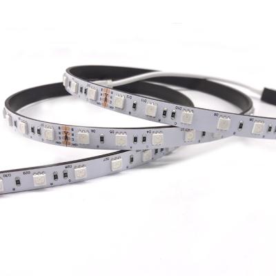 China LANDSCAPE SMD5050 RGB 12V 24V Low Pressure 60leds/m 14W 5m/Roll LED Strip Light for sale