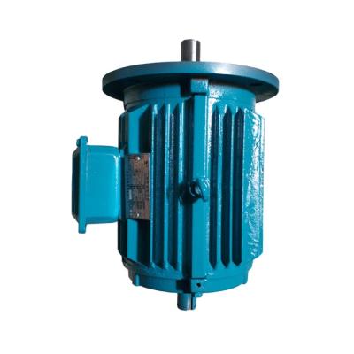 China Factory Supply 15KW 20HP 30HP Totally Enclosed Electric Motor With Double Cage for sale