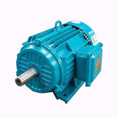 China IP55 3 Phase AC Induction Motor 3KW Asynchronous Motor for sale