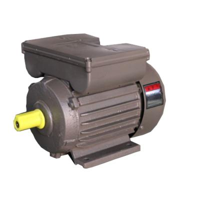 China 1700RPM 1.5KW 2HP 220V Single Phase Totally Enclosed High Quality AC Motor for sale