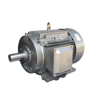 China Totally Enclosed High Speed ​​Induction Electric Motor For Shredder AC Motor for sale