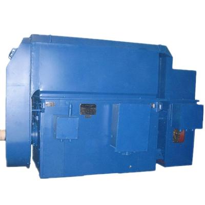 China 335KW 630KW 1000KW 1600KW totally enclosed high voltage synchronous motor for sale for sale