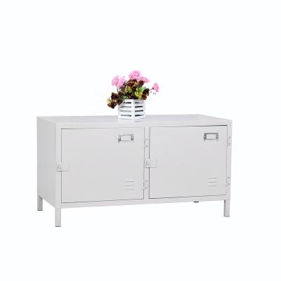 China Adjustable Popular Steel Long Leg Storage Cabinets Steel Garage Cabinet (Other) for sale