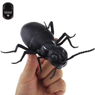 China Early Simulation Insect Education For Children Creative Novelty The Other Wireless RC Remote Control Vehicle Ant Pet Toy Educational Toys Animal for sale