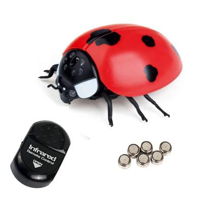 China Simulation Insect Factory Wholesale Harmless Plastic Realistic Fake Animal Ladybird RC Toy Ladybird RC Kids Educational Toys for sale