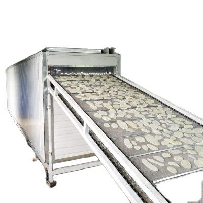 China Medicine Processing Industrial Fruit Vegetable Conveyor Mesh Belt Food Vacuum Belt Dryer for sale