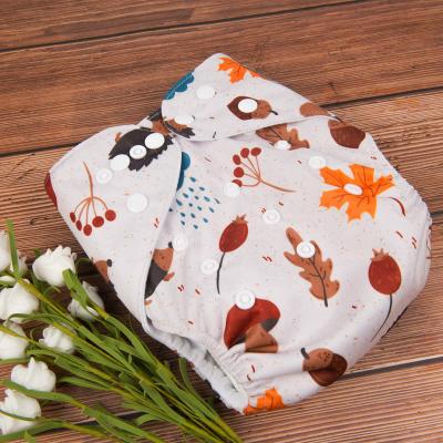 China Baby Charcoal Bamboo Inner Diaper Cloth Printed Waterproof Diaper Reusable And Washable Diaper for sale