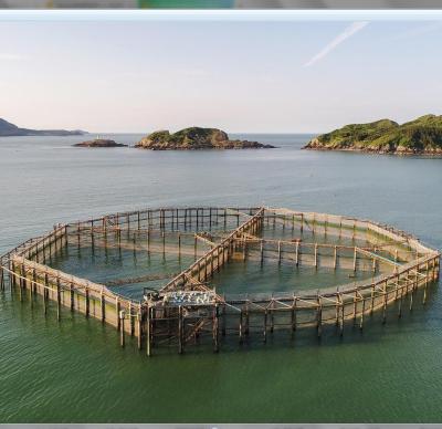 China UHMWPE Multifilament Knotted Fish Farm Cage Netting for sale