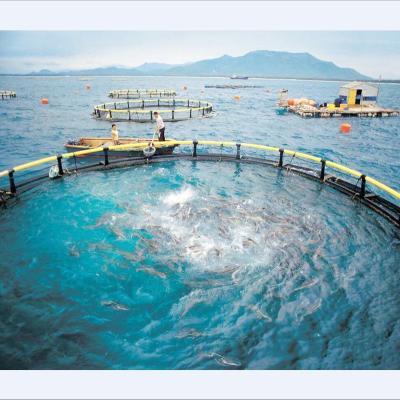 China Open Deep Sea Salmon Fish Farm Multifilament Cage for sale