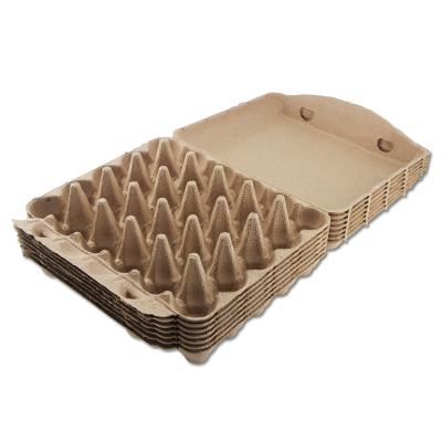 China Biodegradable Food , Recyclable And Reusable Egg Holder With Lid Egg Trays OEM Can Be Customized for sale