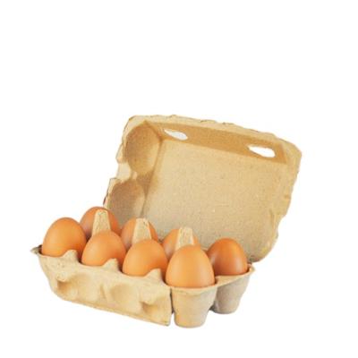 China 8 Holes Paper Pulp Biodegradable Egg Cardboard Box Top Flats Jumbo Egg White Carton Packaging for sale