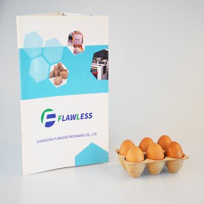 China Household Products Fiber Paper Pulp 6 Cell Pulp Egg Carton Egg Trays Can Be Customized Paper Pulp Products Manufacturer for sale