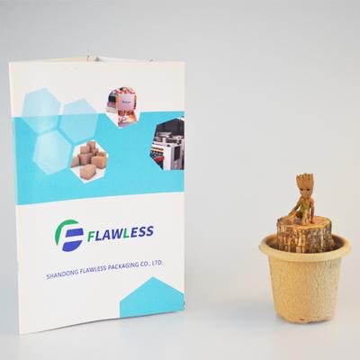 China 100% Chinese Manufacturer Factory Eco-friendly Biodegradable Starter Seeding Pot Free Sample Can Be Customized Size Customized for sale