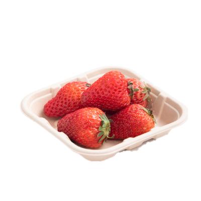 China Disposable Fruit Holders Tray Food Packaging Degradable Recyclable Fruit Tableware For Dinner for sale