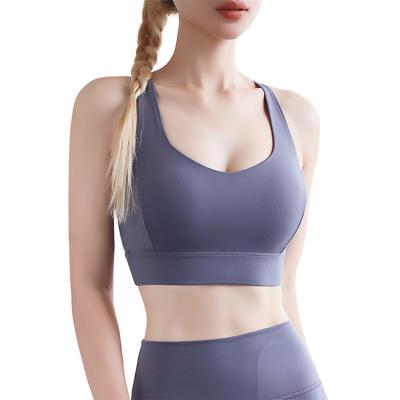 China Wholesale Antibacterial Celebrity Sports Bra Women Refine Fitness Adults V-Neck Seamless Sports Bra for sale