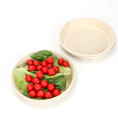 China Christmas Disposable Paper Plates Custom Cheap Party Supplies Disposable Paper Plate for sale