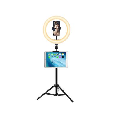 China USA New Trend Internet Celebrities Mini Tripod Compatible 10-Inch LED Selfie Ring Light Stand for sale