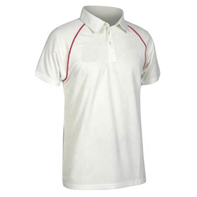 China Anti-pilling Short Sleeves T-Shirt Custom Design Cricket Jersey, Cricket Shirt for sale