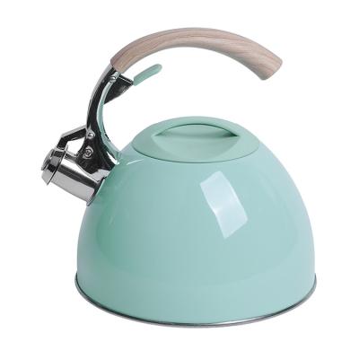 China Sustainable Kitchen 3L Teapot Stainless Steel Home Whistling Kettle With Color Food Grade Painting Teapot With Heat Resistant Handle for sale