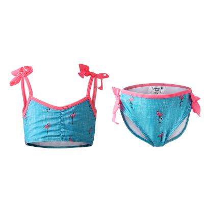 China Summer 2-7T Breathable Hot Girls 3D Swan Print Kids Swimwear Two Piece Swimwear Swimming Pool Beach Halter Flower Swimwear for sale