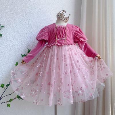 China 2021 Autumn/Winter Elsa Dress Velvet Anti-wrinkle With Long Sleeves Girls' Dress Sets for sale