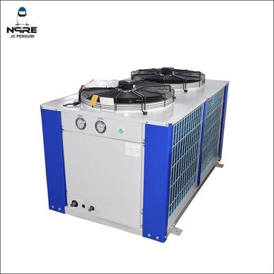 Cina 8HP Original Imported customized refrigeration unit in vendita