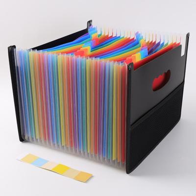 China Prolead 24 Pockets High Capacity A4 Size Eco-friendly Expandable Organizer Filling Cover PVC Folder for sale