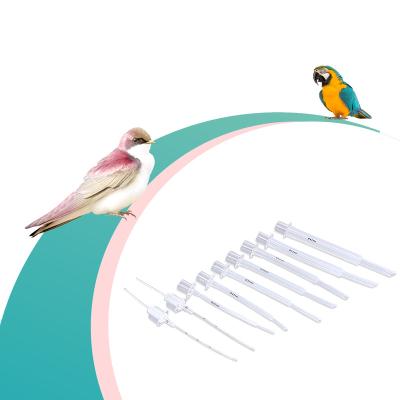 China For Bird 2022 Best Selling Disposable Bird Endotracheal Intubation / Endotracheal Tube for sale