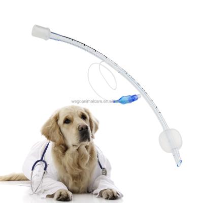 China PVC Veterinary Endotracheal Tube With PU Cuff for sale