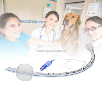 China PVC Anesthesia Bird Silicone Tube Endotracheal Tube For Birds Top Selling Medical Tube for sale