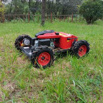 China Low Power Consumption Self-Powered Gasoline Engine 4-Stroke Dynamo Radio Control Cordless Grass Trimmer for sale