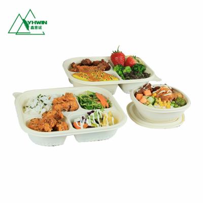 China Eco Friendly Bagasse Lunch Microwavable Biodegradable Paper Food Container for sale