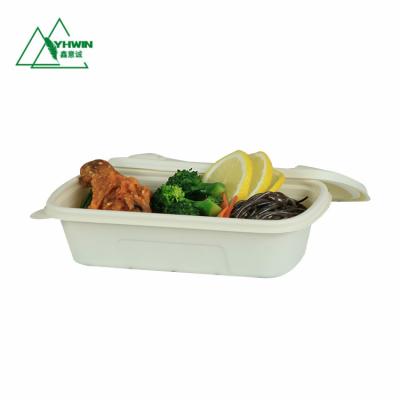 China Biodegradable Food Eco Food Pack Take Out Salad Bowl Lunch Container for sale