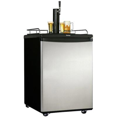 China High Quality Plastic Carlsberg Kegerator Beer Dispenser 128L Keg Fridge for sale